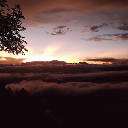 ホテル Toraja Manubackpacker ランテパオ エクステリア 写真